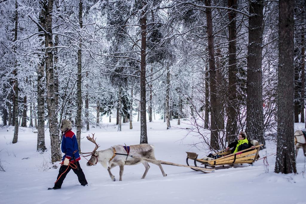 Lapland Igloo Ξενοδοχείο Ranua Εξωτερικό φωτογραφία