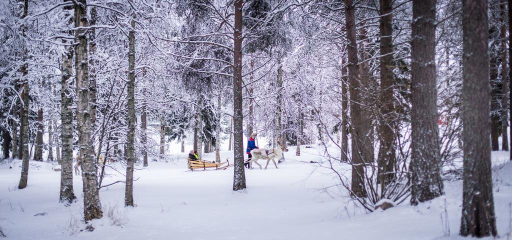 Lapland Igloo Ξενοδοχείο Ranua Εξωτερικό φωτογραφία