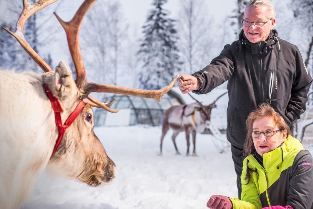 Lapland Igloo Ξενοδοχείο Ranua Εξωτερικό φωτογραφία