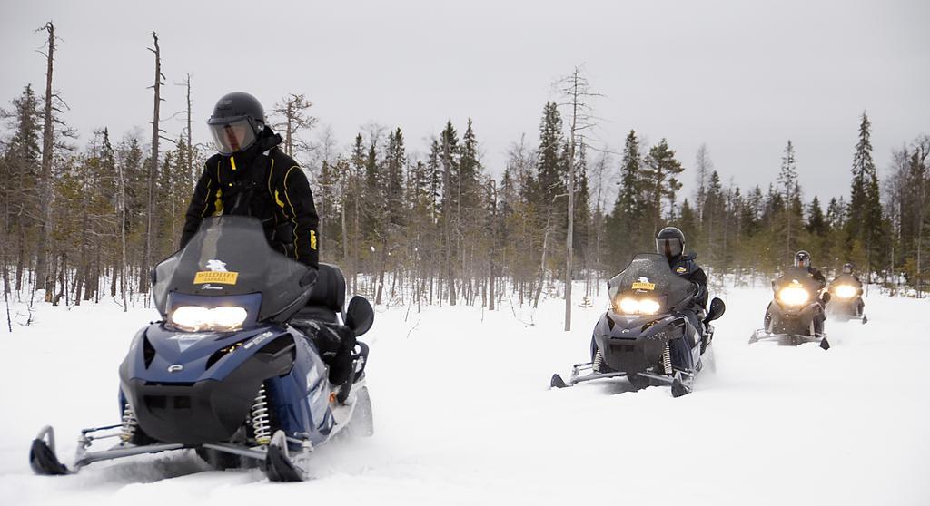 Lapland Igloo Ξενοδοχείο Ranua Εξωτερικό φωτογραφία