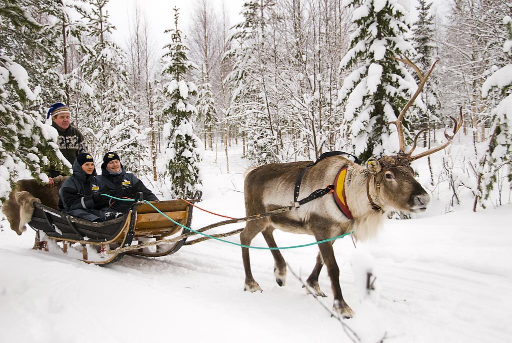 Lapland Igloo Ξενοδοχείο Ranua Εξωτερικό φωτογραφία