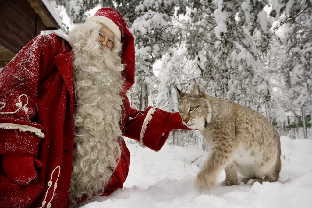 Lapland Igloo Ξενοδοχείο Ranua Εξωτερικό φωτογραφία